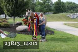 23R13_14011 thumbnail